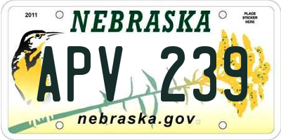 NE license plate APV239