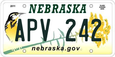 NE license plate APV242