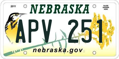 NE license plate APV251
