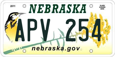 NE license plate APV254