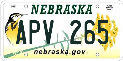 NE license plate APV265
