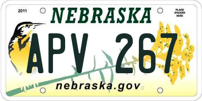 NE license plate APV267