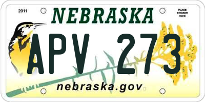 NE license plate APV273