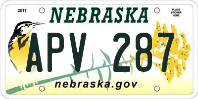NE license plate APV287