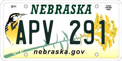 NE license plate APV291
