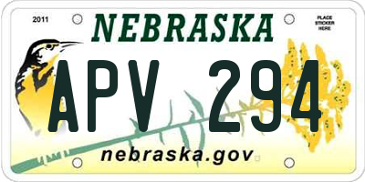 NE license plate APV294