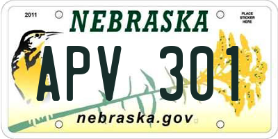 NE license plate APV301