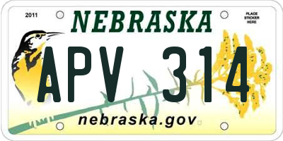 NE license plate APV314
