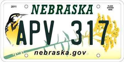 NE license plate APV317