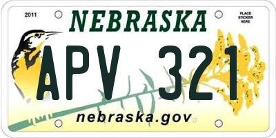 NE license plate APV321
