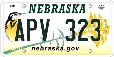 NE license plate APV323