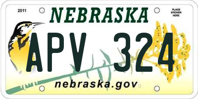 NE license plate APV324