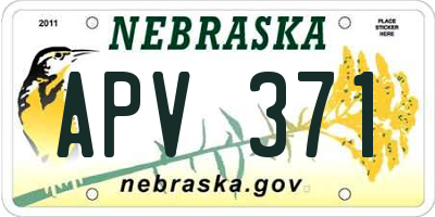 NE license plate APV371