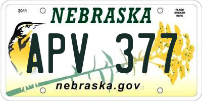 NE license plate APV377
