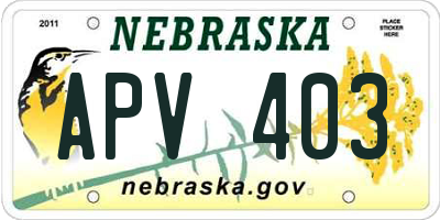 NE license plate APV403