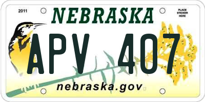 NE license plate APV407