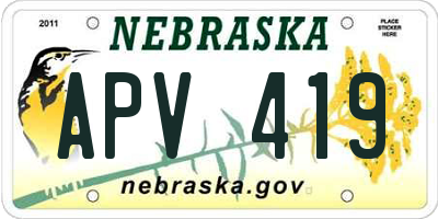 NE license plate APV419