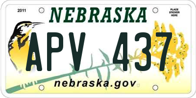 NE license plate APV437