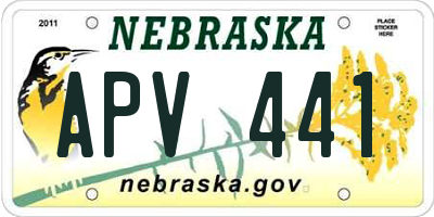 NE license plate APV441