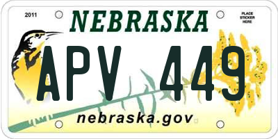 NE license plate APV449