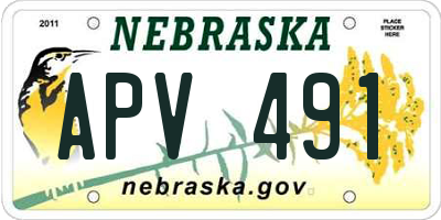 NE license plate APV491
