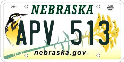 NE license plate APV513