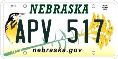 NE license plate APV517