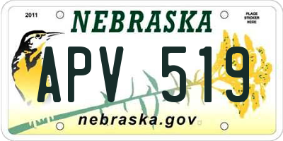 NE license plate APV519