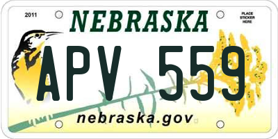 NE license plate APV559