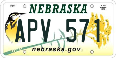 NE license plate APV571