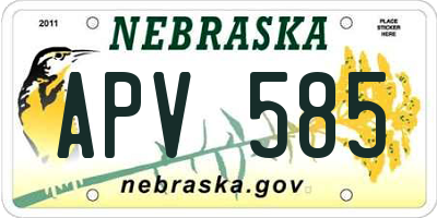 NE license plate APV585