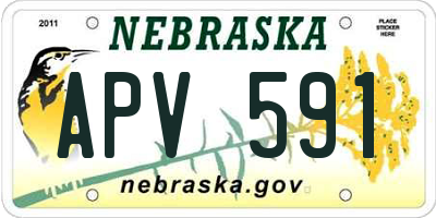 NE license plate APV591