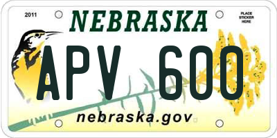 NE license plate APV600