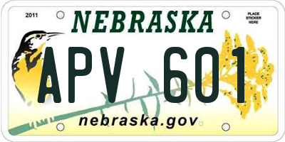 NE license plate APV601