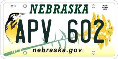 NE license plate APV602