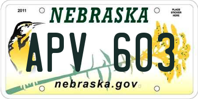 NE license plate APV603