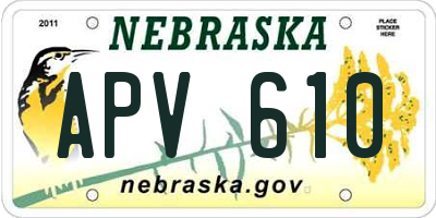 NE license plate APV610
