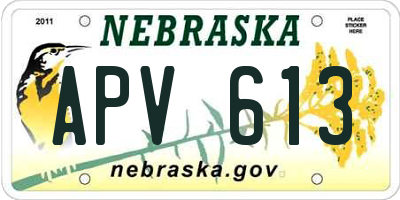 NE license plate APV613