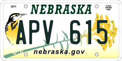 NE license plate APV615