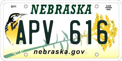 NE license plate APV616