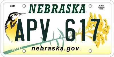 NE license plate APV617