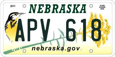 NE license plate APV618