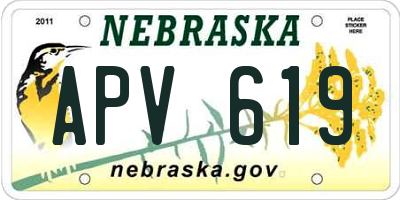 NE license plate APV619