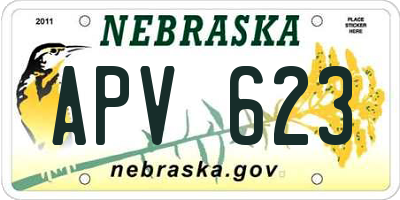 NE license plate APV623