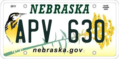 NE license plate APV630
