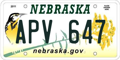 NE license plate APV647