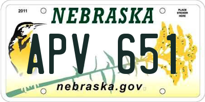 NE license plate APV651