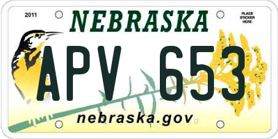 NE license plate APV653