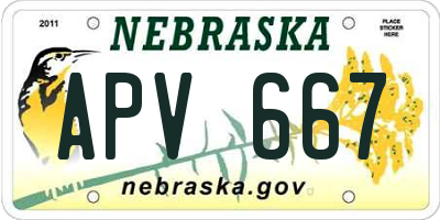 NE license plate APV667