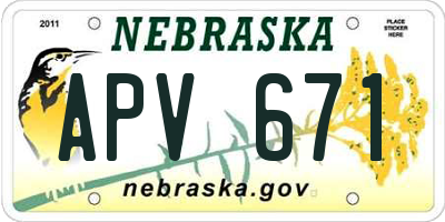 NE license plate APV671